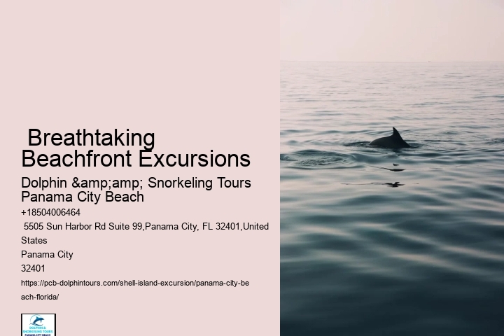  Bottle-nosed Dolphins