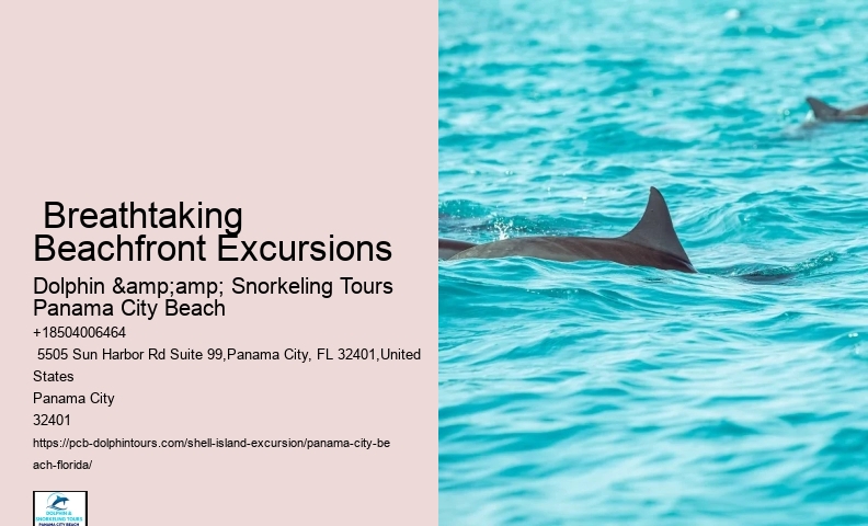  Dolphin Tour