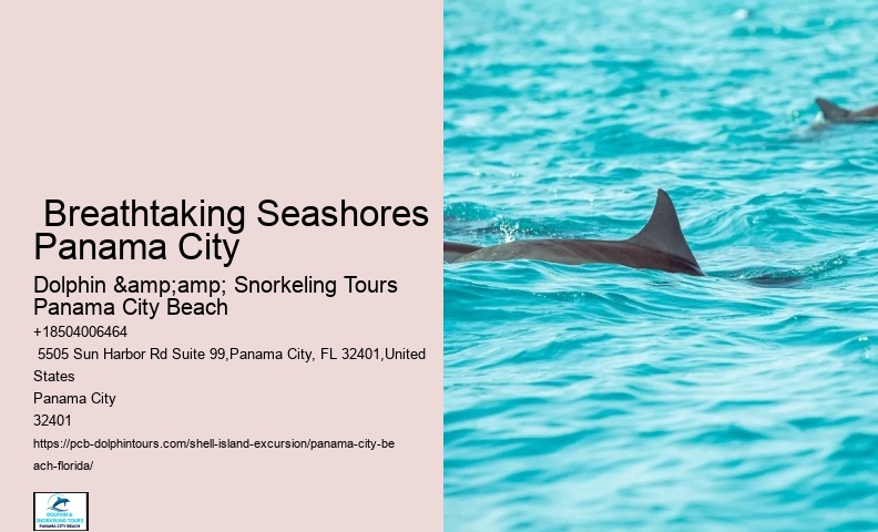  Dolphin Watching Panama City Beach