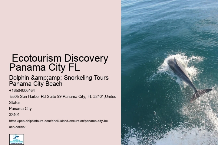  Excursions