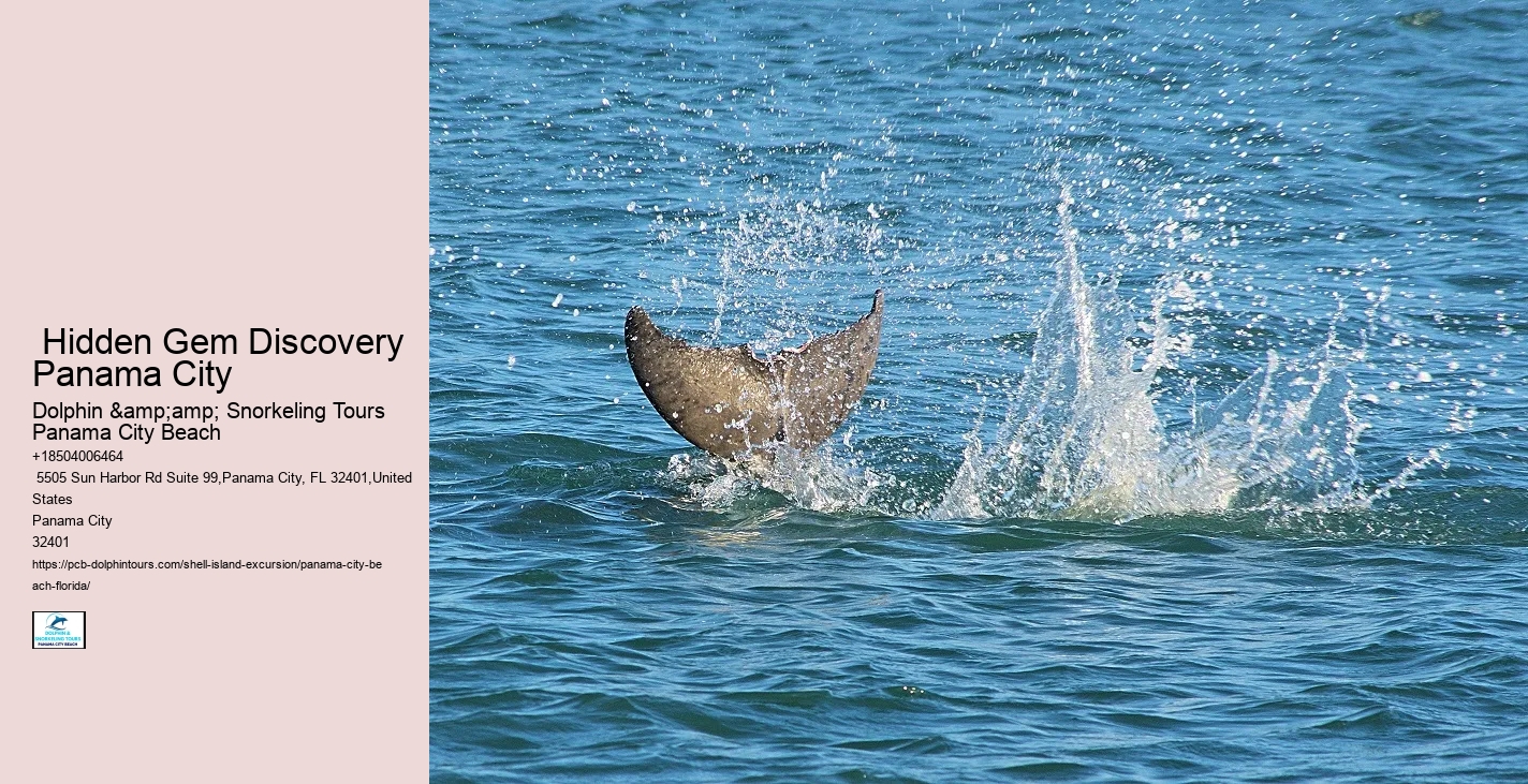  Panama City Watercraft Discovery Tours