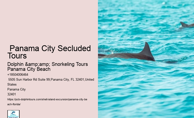  5 Hot Tips For Finding The Best Shells - Treasure Seekers Shell Tours