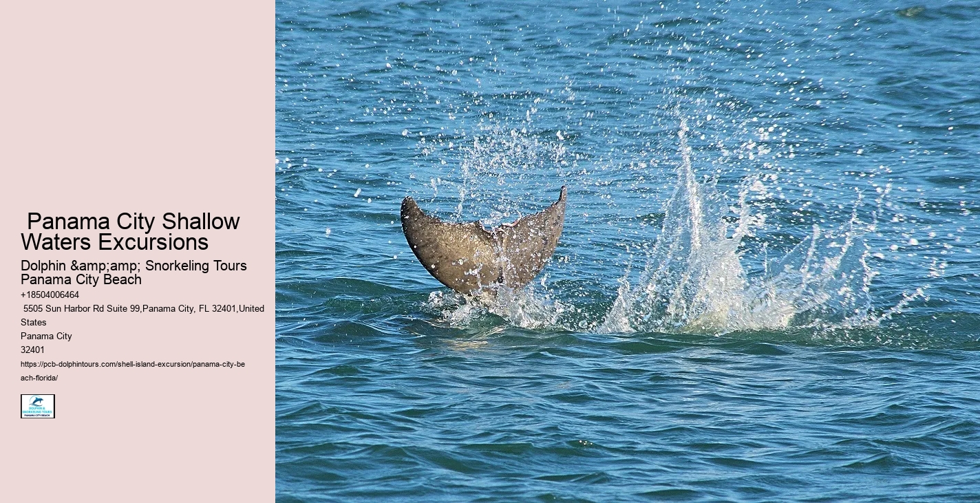  Bottlenose Dolphins
