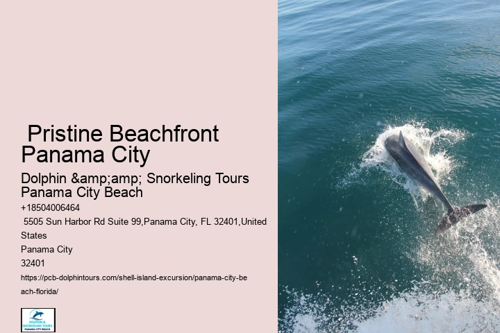  How Do You Get To Shell Island Panama City