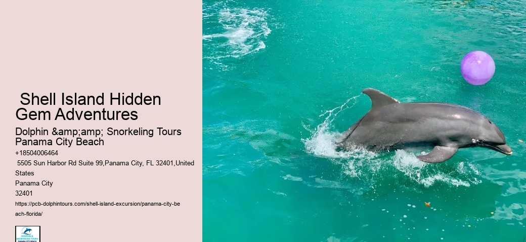  Shell Island Tours In Panama City Beach - Adventures At Sea