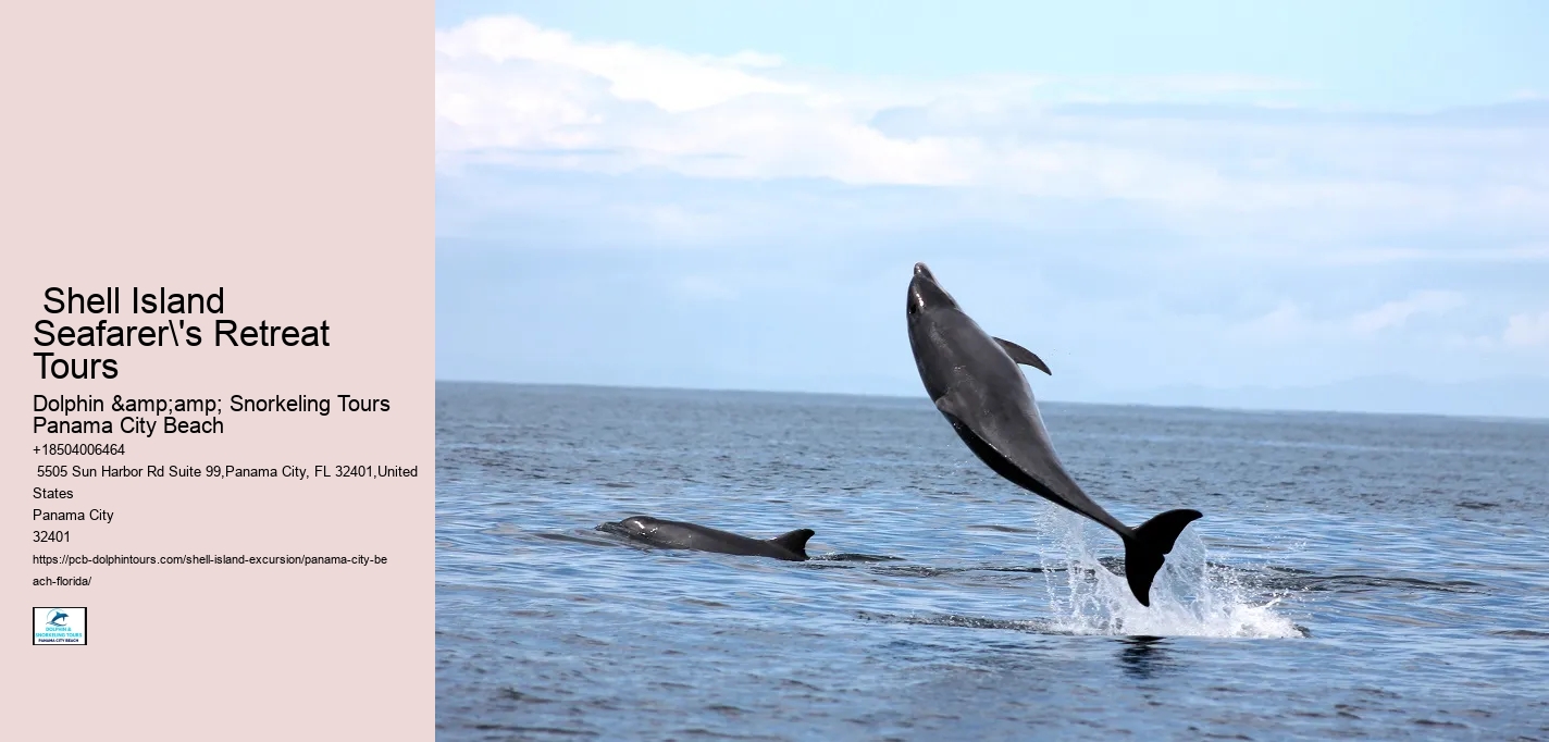  How To Visit Shell Island In Panama City Beach