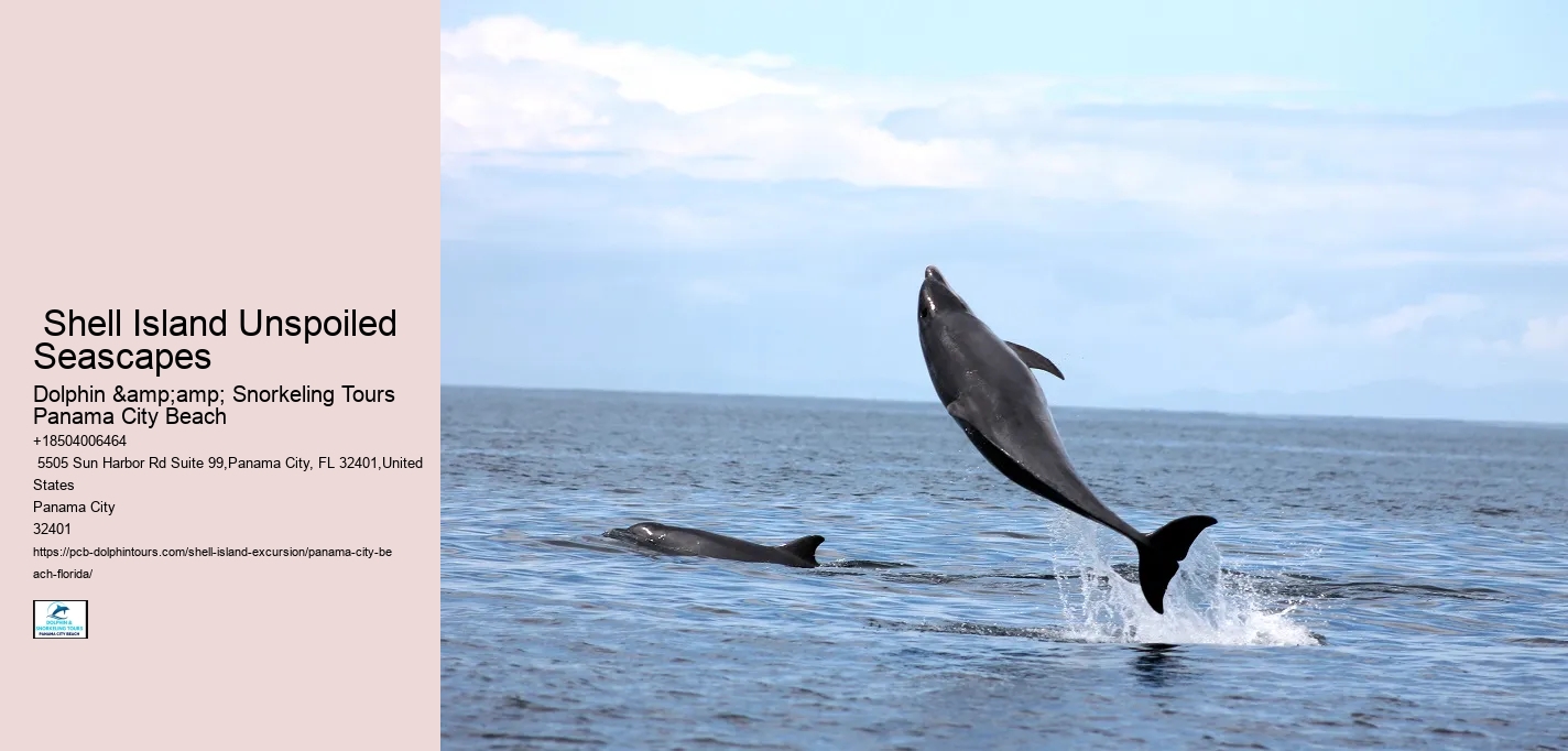  Panama City Seaside Sanctuary Excursions