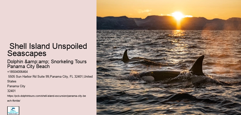  Shell Island Tours