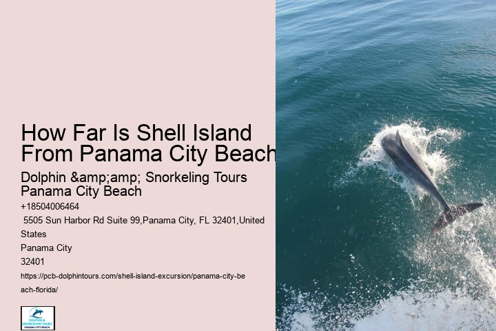  Shell Island Excursions Panama City Beach Fl