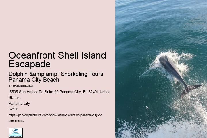  You Can Kayak To Shell Island