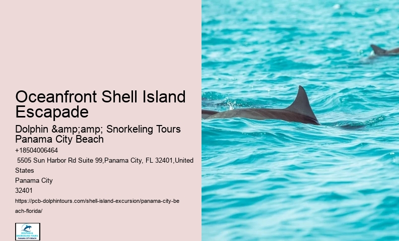  Get Creative With Your Seashell Collection