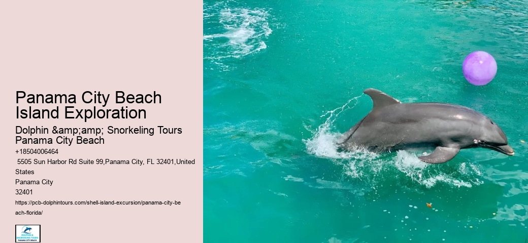  Shell Island Wildlife Tours FL
