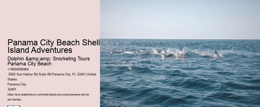  What Is The Best Month For Shelling In Florida