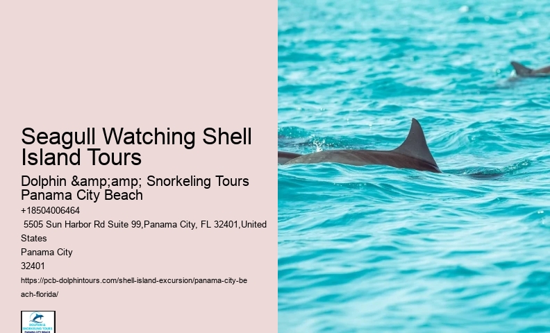  World's Best Shelling Beaches
