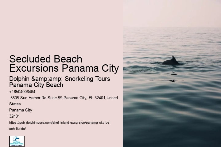  Is It Ok To Take Shells From Florida Beaches