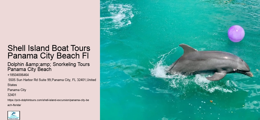  Shell Island Boat Tours Panama City Beach Fl