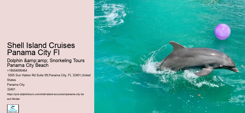  Tour Adventures