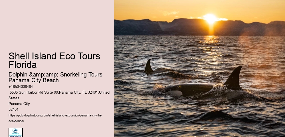  Panama City Beachfront Bliss Tours