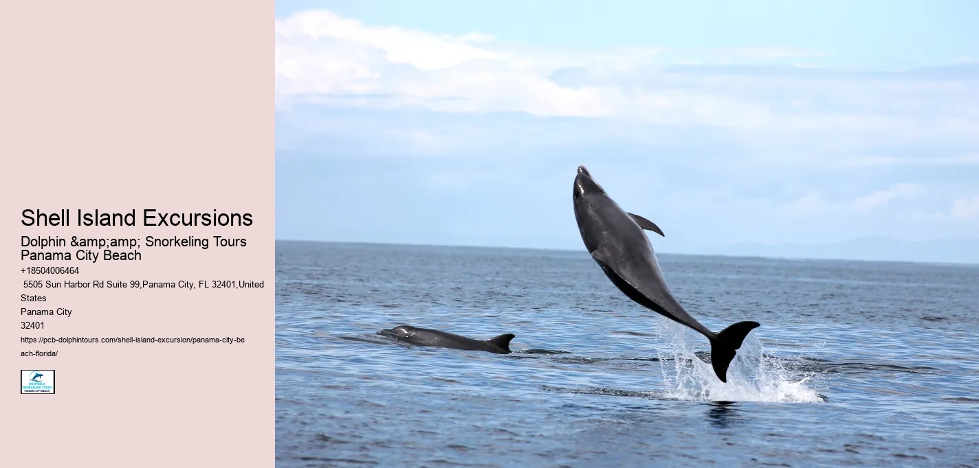  Panama City Watercraft Discovery Tours