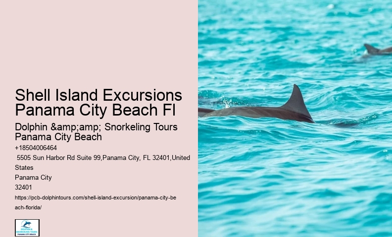  5 Hot Tips For Finding The Best Shells - Treasure Seekers Shell Tours