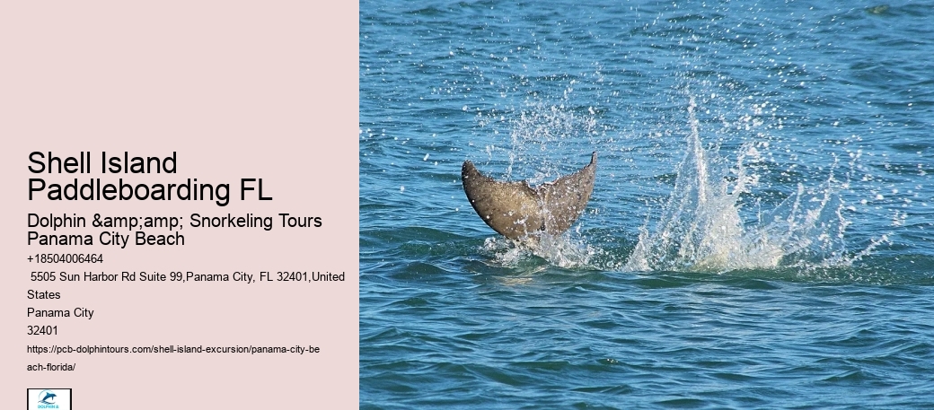  8 Fun Things To Do At Shell Island