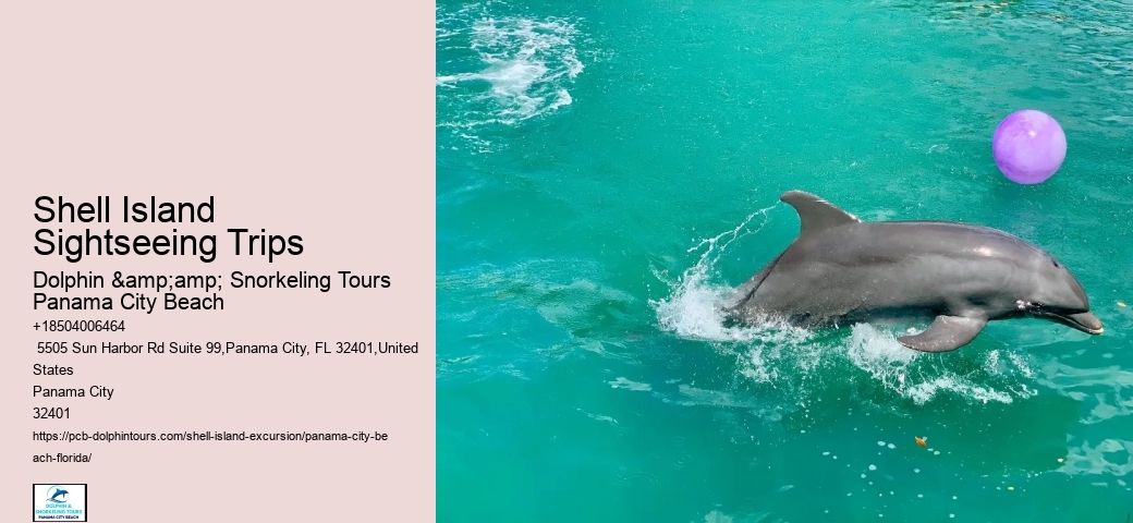  Shell Island Excursions Panama City Beach Florida Dolphin
