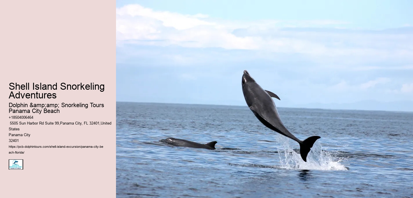  Shell Island Preservation Tours
