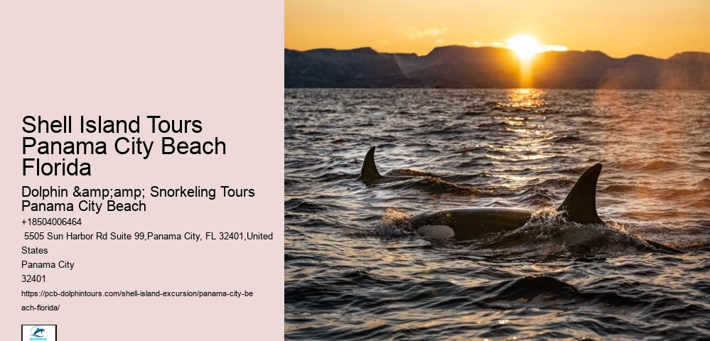  Secluded Beach Excursions Panama City
