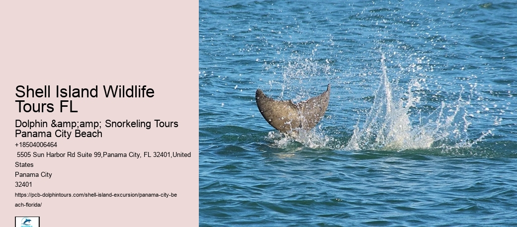  Island Excursions Panama City