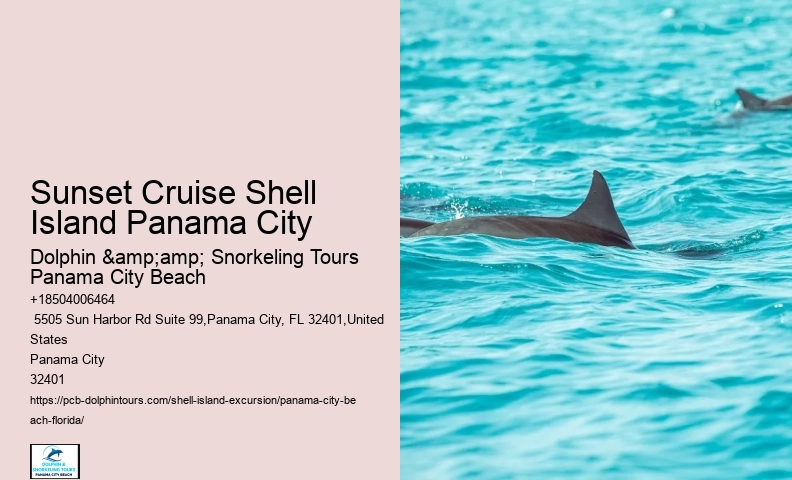  Shell Island Aquatic Paradise Tours