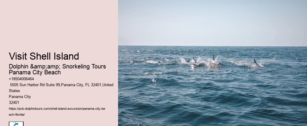 Visit Shell Island