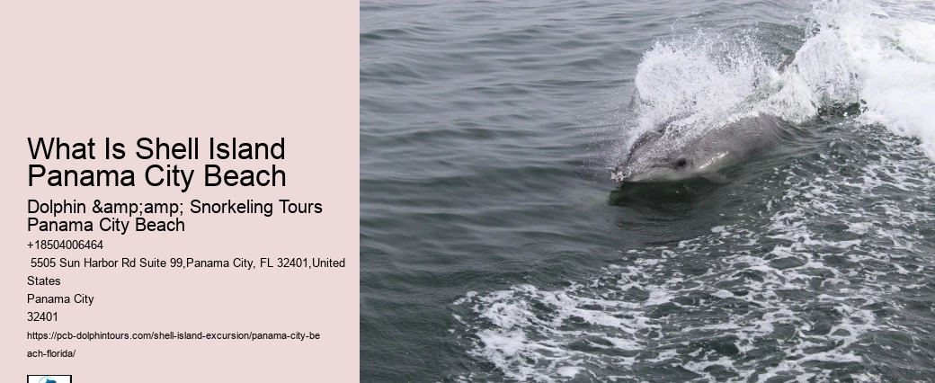  Day Visits - Shell Island