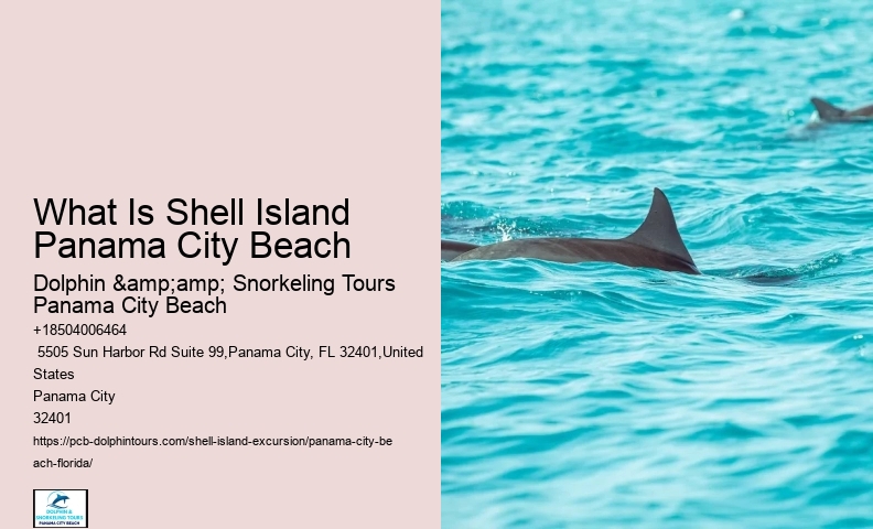  What Is Shell Beach Famous For