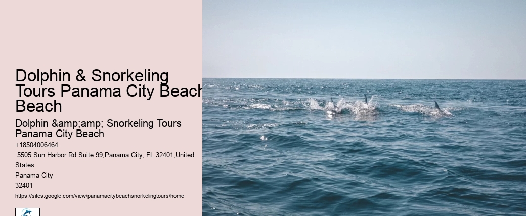 Dolphin & Snorkeling Tours Panama City Beach Beach