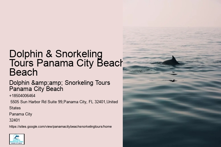 Where Is The Best Shore Snorkeling