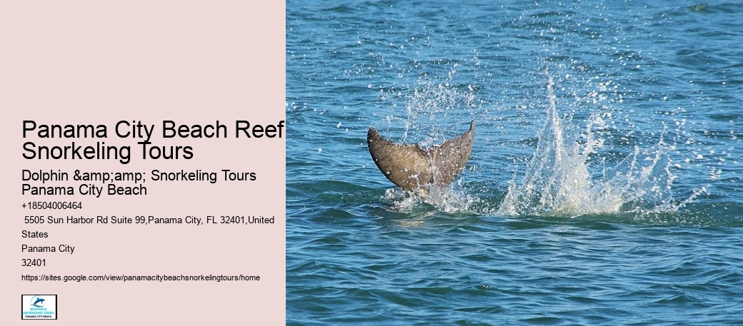 Panama City Beach Snorkel Adventure Cruises