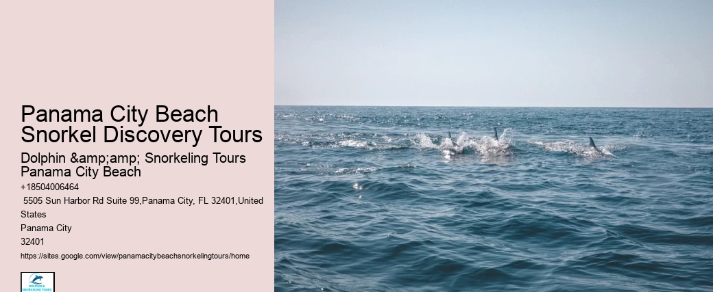 Panama City Beach Snorkel Discovery Tours