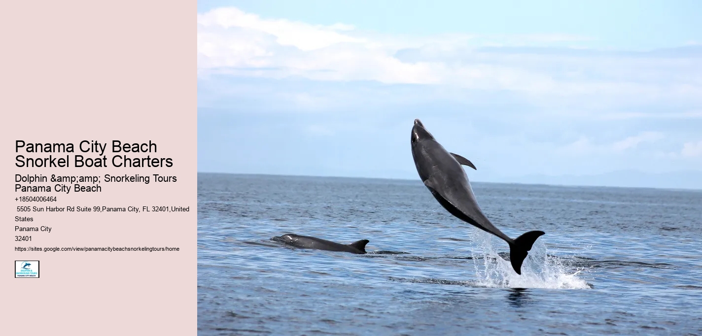Panama City Beach Snorkel Boat Charters