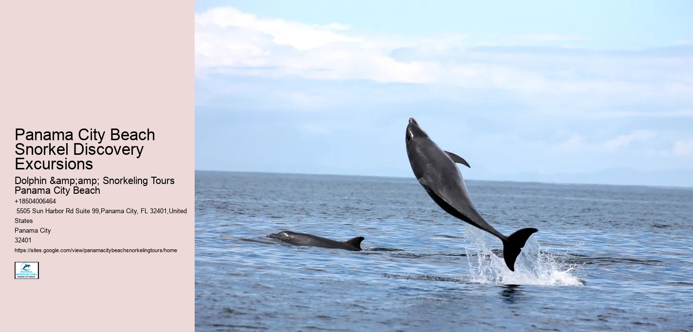 Panama City Beach Snorkel Discovery Excursions
