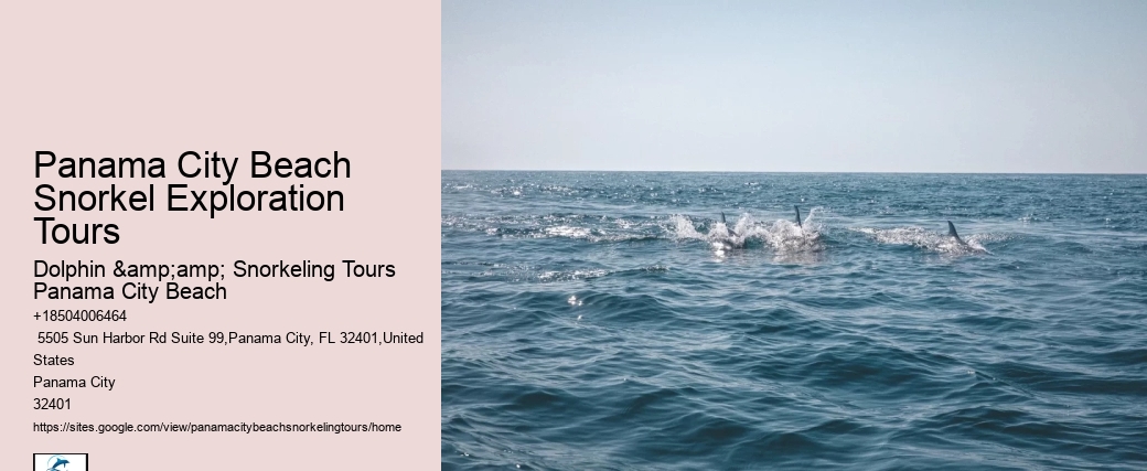 Panama City Beach Snorkel Exploration Tours
