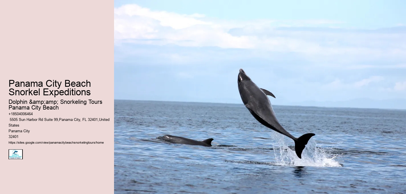 Panama City Beach Snorkel Expeditions