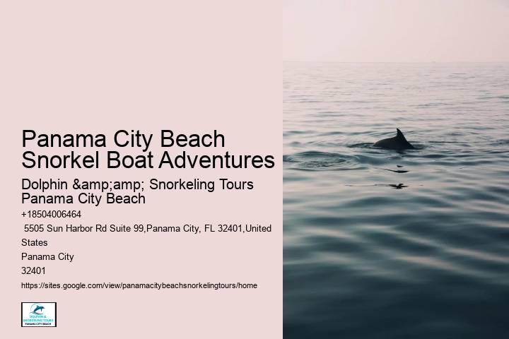 Snorkeling Experiences Departing From Panama City Beach