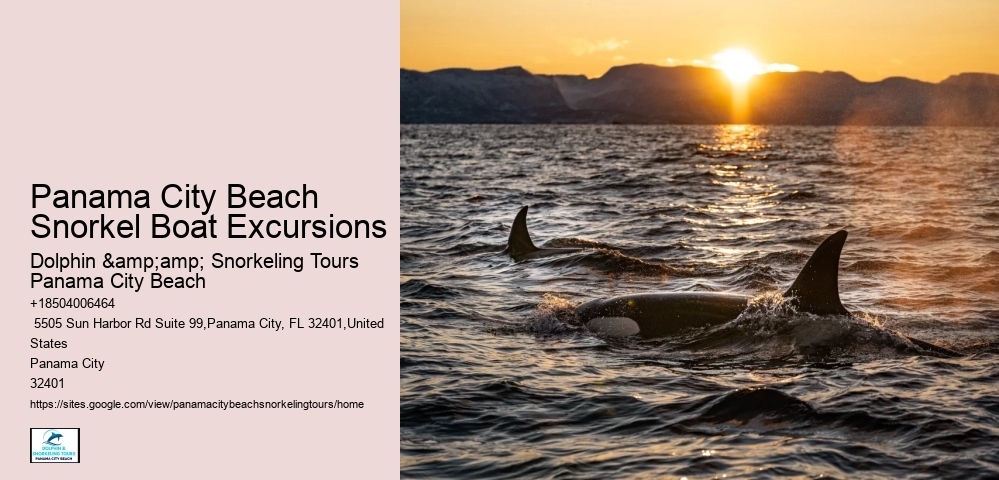 Panama City Beach Snorkeling Tours Fl