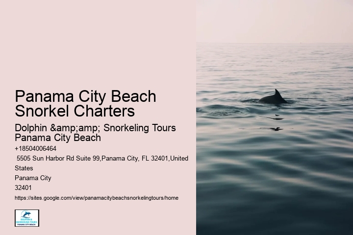 Panama City Beach Snorkeling Tours Sarasota Fl