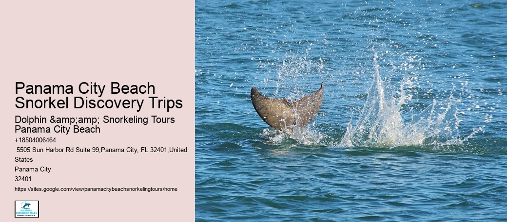 Can I Book A Private Snorkeling Tour In Panama City Beach