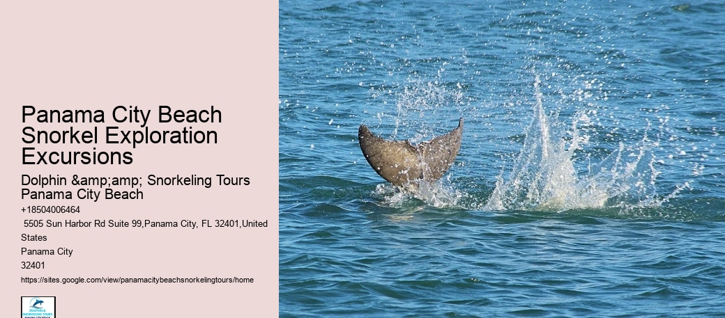 Snorkeling Experiences Departing From Panama City Beach