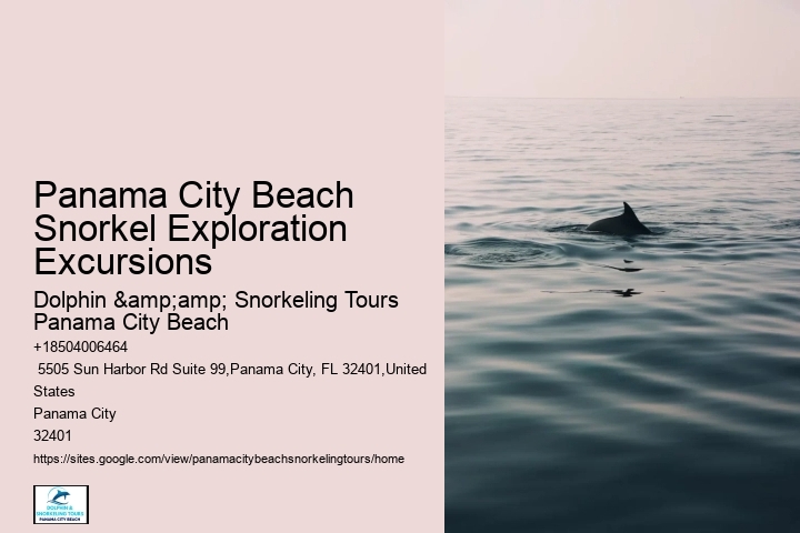 Panama City Beach Snorkel Discovery Trips