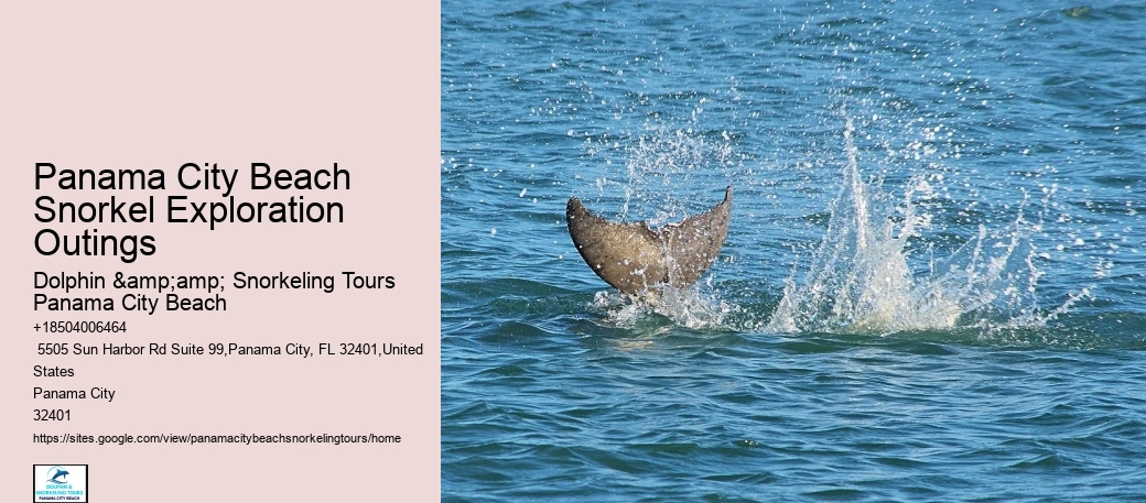 Panama City Beach Snorkeling Tours Orange Beach
