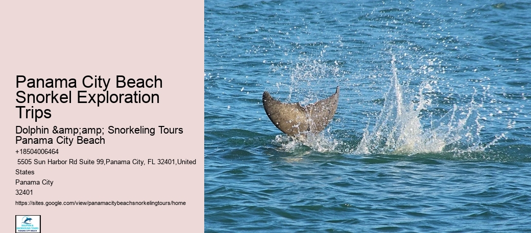 How Deep Are The Snorkeling Sites Visited On The Tours
