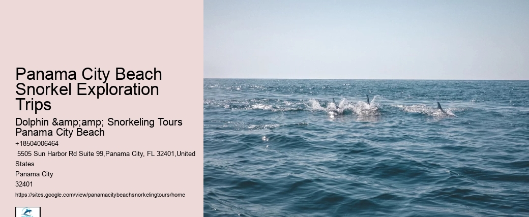 Panama City Beach Snorkeling Tours Prices